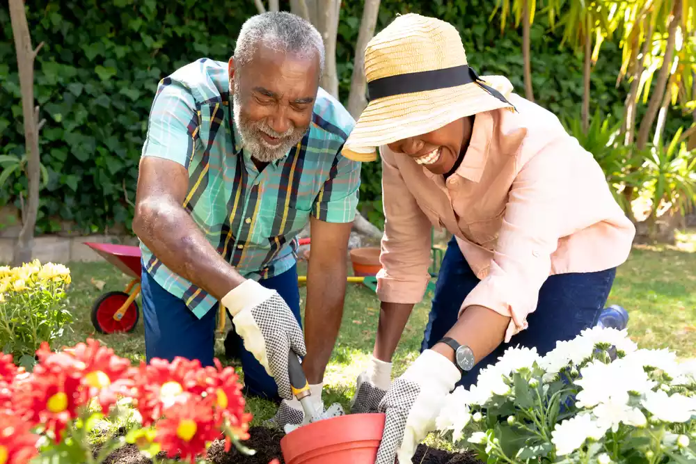 Gardening as a Hobby for Seniors